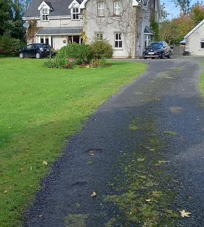 إينيسكورثي Large Family Home In Wexford Marys B&B المظهر الخارجي الصورة