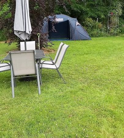 إينيسكورثي Large Family Home In Wexford Marys B&B المظهر الخارجي الصورة