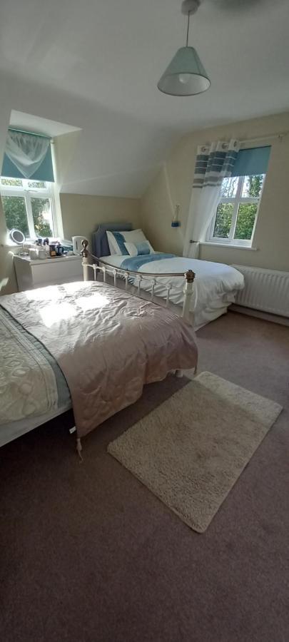 إينيسكورثي Large Family Home In Wexford Marys B&B المظهر الخارجي الصورة