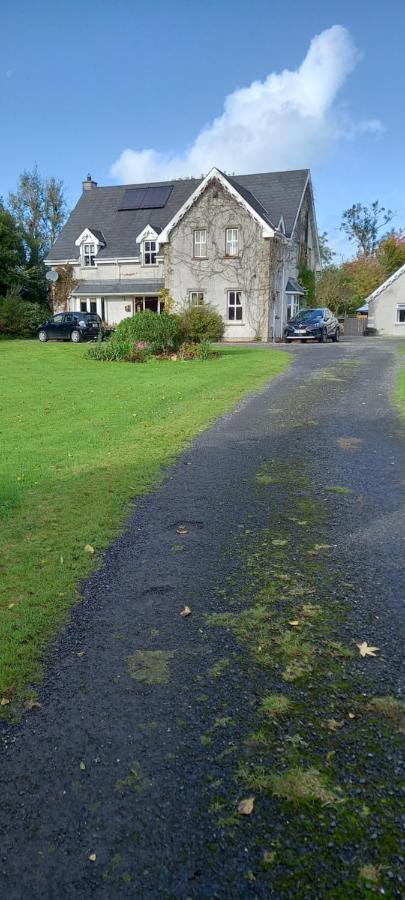 إينيسكورثي Large Family Home In Wexford Marys B&B المظهر الخارجي الصورة