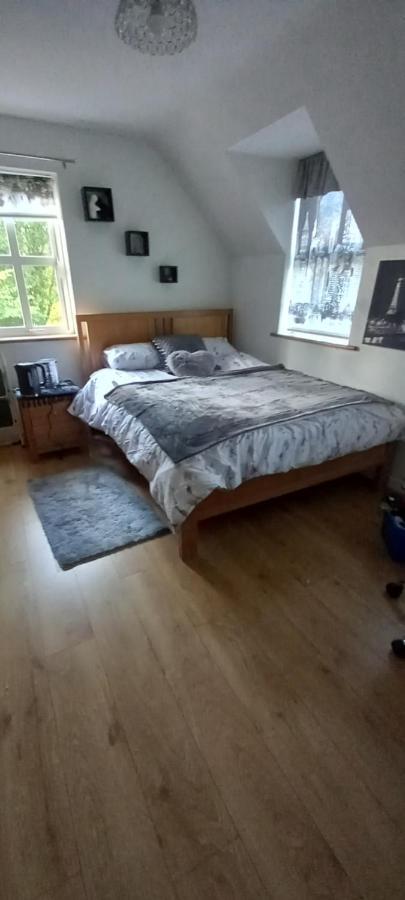 إينيسكورثي Large Family Home In Wexford Marys B&B المظهر الخارجي الصورة
