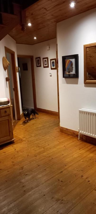إينيسكورثي Large Family Home In Wexford Marys B&B المظهر الخارجي الصورة