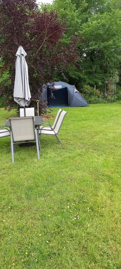 إينيسكورثي Large Family Home In Wexford Marys B&B المظهر الخارجي الصورة