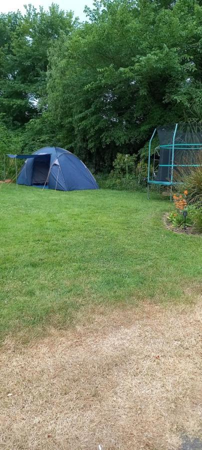 إينيسكورثي Large Family Home In Wexford Marys B&B المظهر الخارجي الصورة