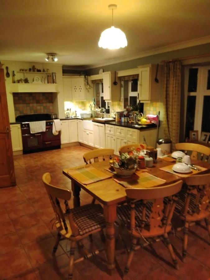 إينيسكورثي Large Family Home In Wexford Marys B&B المظهر الخارجي الصورة