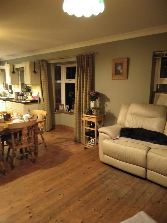 إينيسكورثي Large Family Home In Wexford Marys B&B المظهر الخارجي الصورة